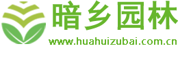 安徽暗乡花卉商城